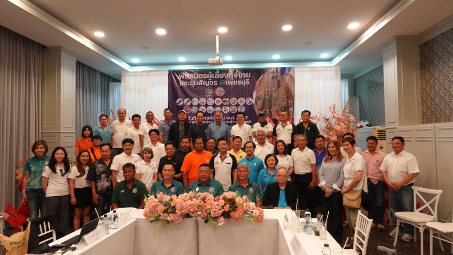 IMAGE - 41