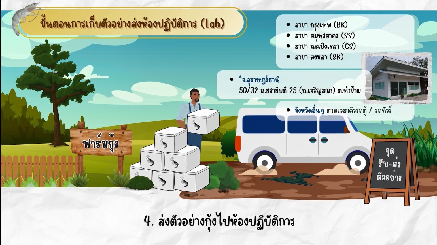 IMAGE - 287