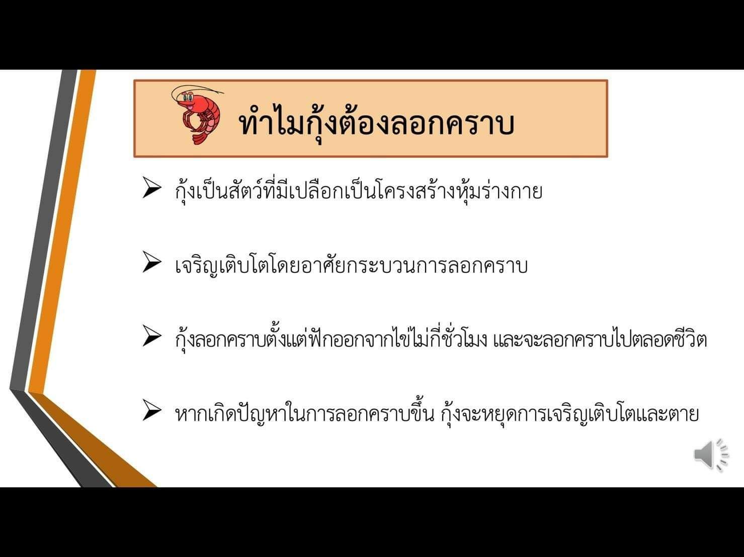 IMAGE - 358