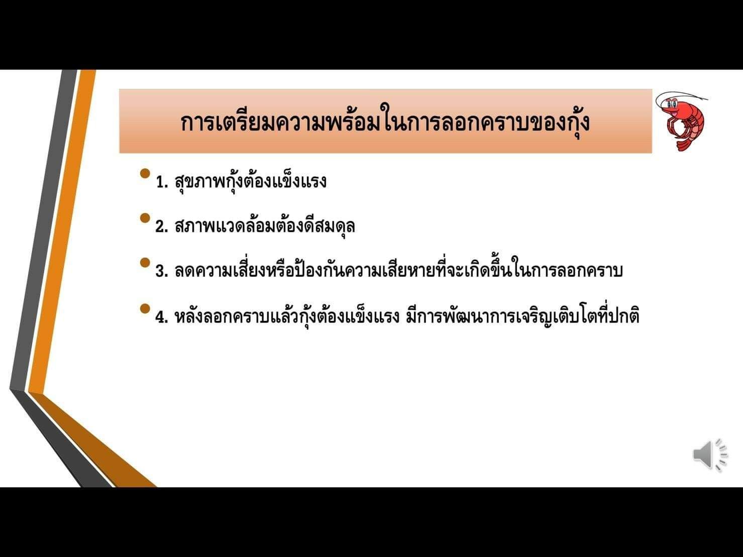 IMAGE - 359