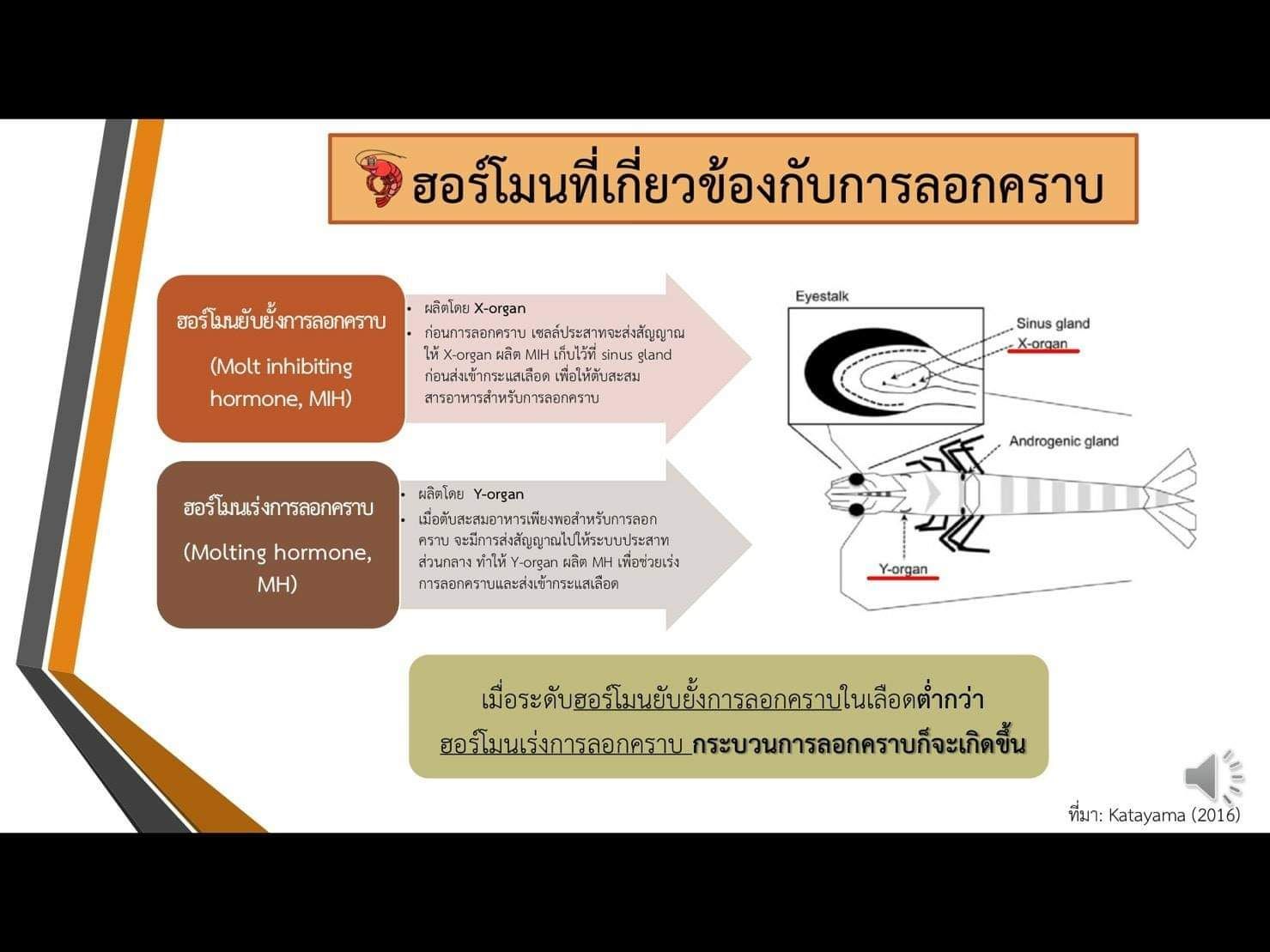 IMAGE - 365