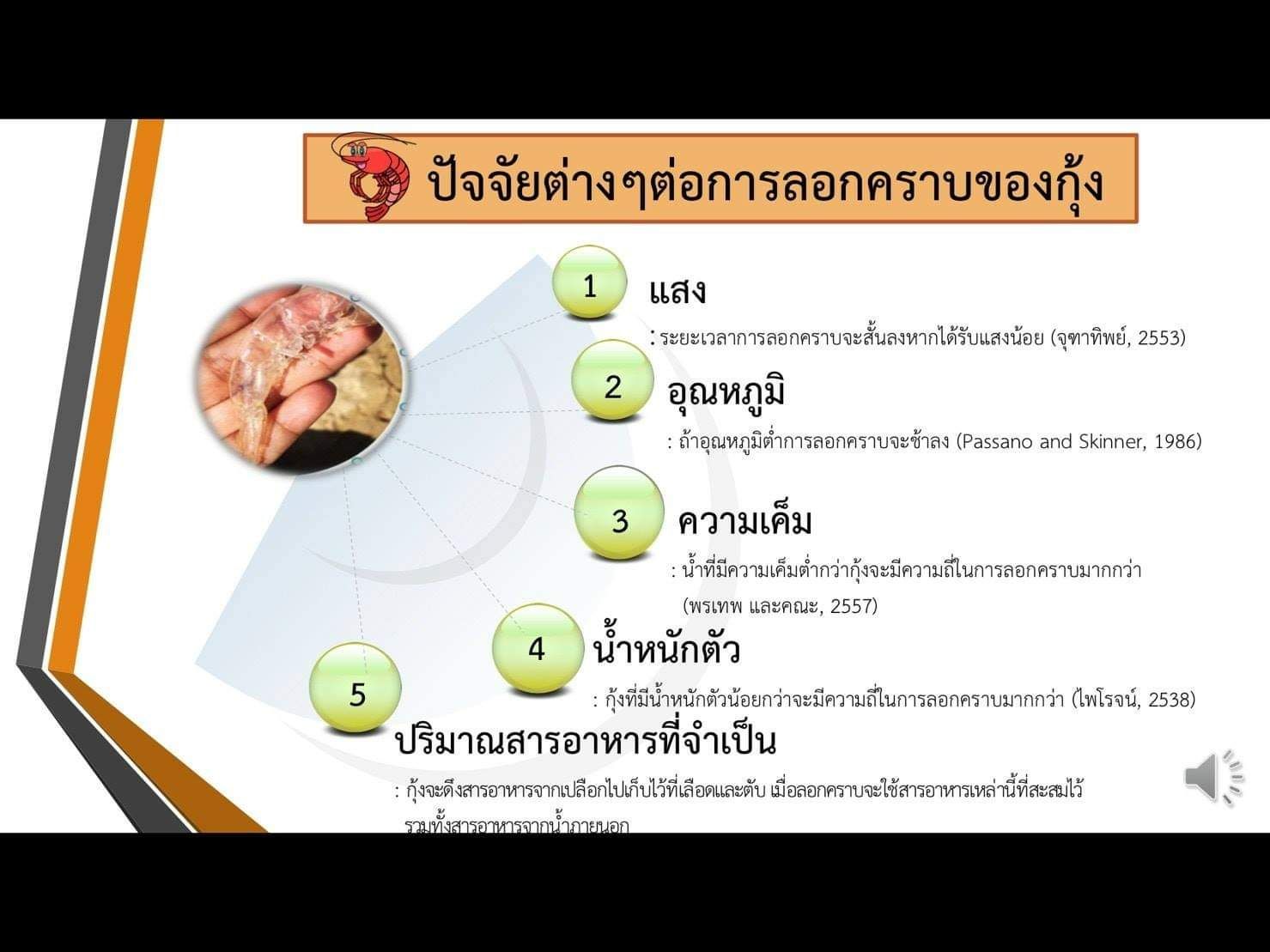 IMAGE - 371