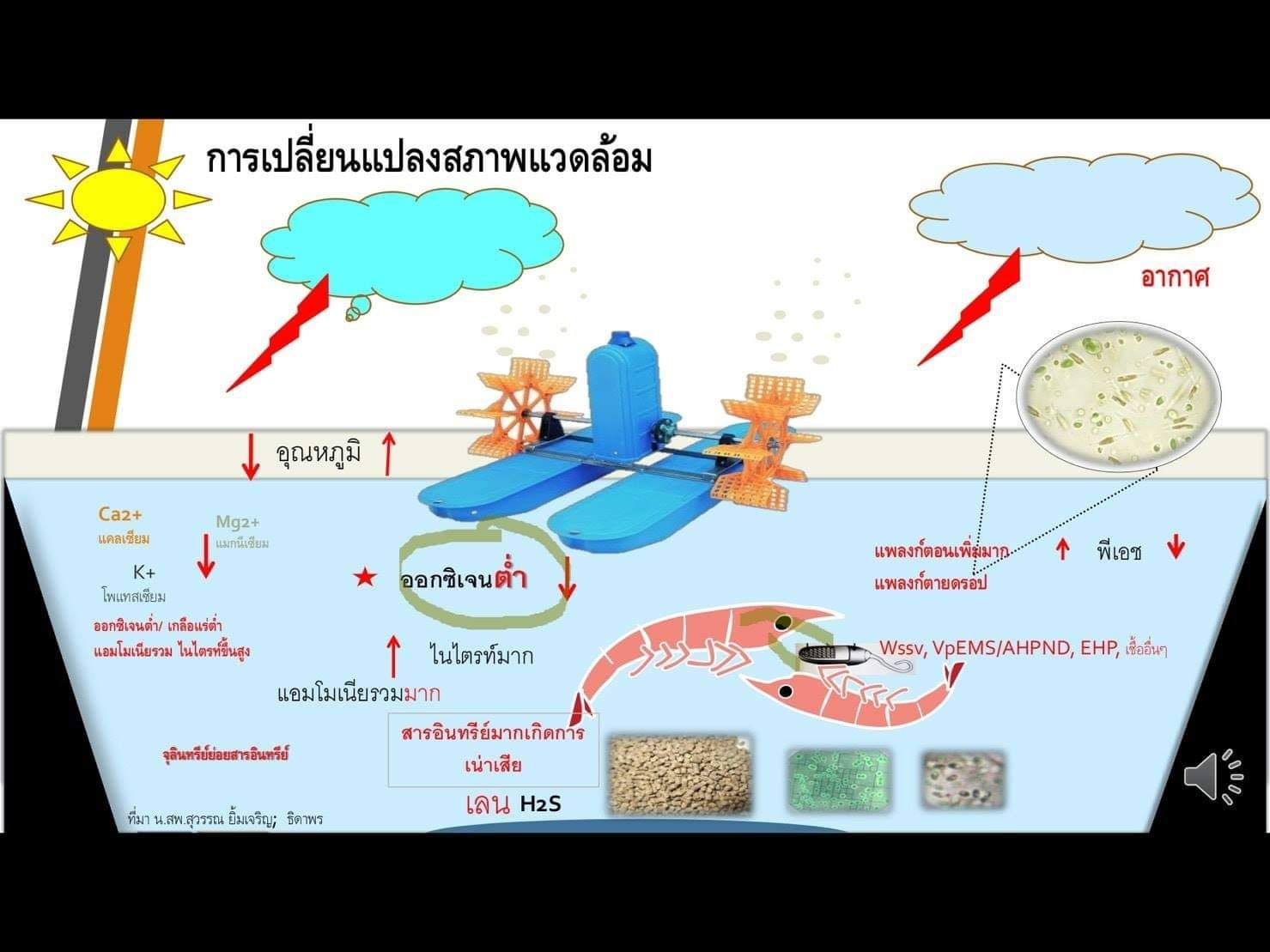 IMAGE - 374