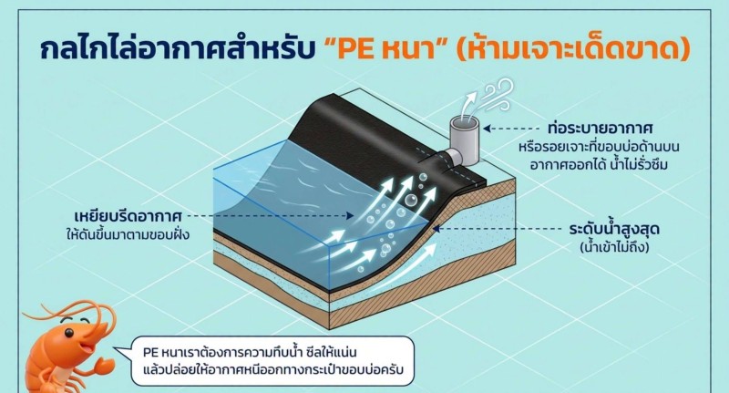 IMAGE - 1878